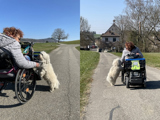 Rollstuhlfahrerin mit Hund